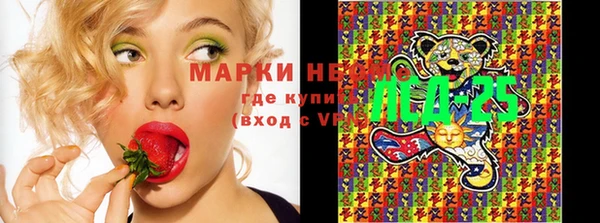 хмурый Богданович