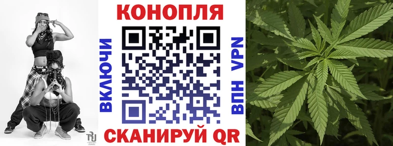 Купить закладки  Кяхта  Бошки марихуана индика 
